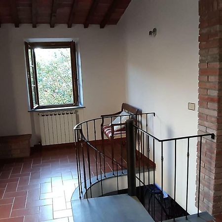 Casapaf Apartment Serre Di Rapolano Ngoại thất bức ảnh